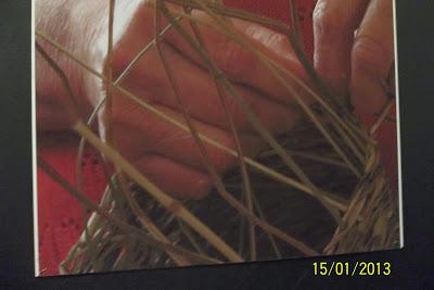 Recorriendo el Sur de Chile X