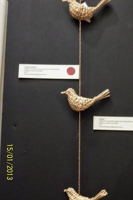 Recorriendo el Sur de Chile X