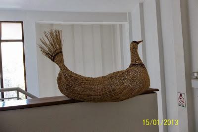 Recorriendo el Sur de Chile X