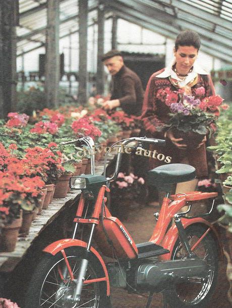 Piaggio Bravo, un ciclomotor italiano importado a Argentina