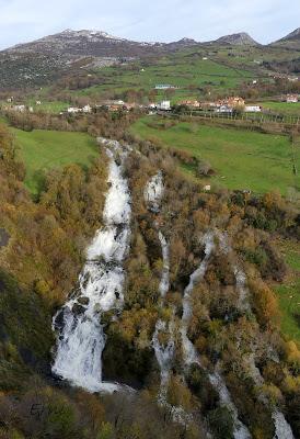 MUCHA AGUA... Y ALGUNAS AVES