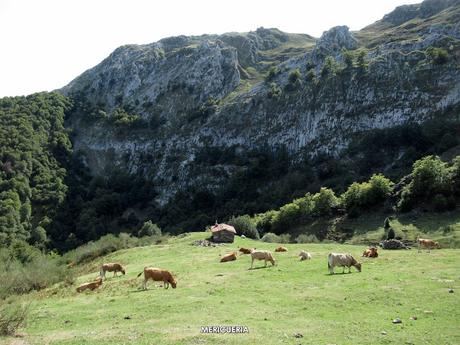 La Infiesta-La Canalina-Brañapiñueli-La Roza-Mericueria-La Carricera