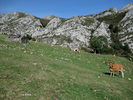 La Infiesta-La Canalina-Brañapiñueli-La Roza-Mericueria-La Carricera