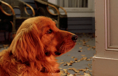 Reseña: ¡No vivo en una casa Encantada! - Soley Aragonés Reseña: ¡No vivo en una casa Encantada! - Soley Aragonés