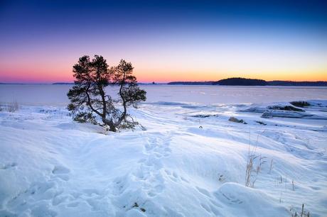 Laponia Sueca, un viaje al frío más hermoso