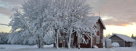 Laponia Sueca, un viaje al frío más hermoso