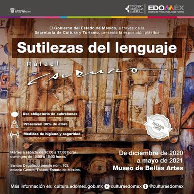 PRESENTA MUSEO DE BELLAS ARTES EXPOSICIÓN “SUTILEZAS DEL LENGUAJE”, DE RAFAEL CAUDURO