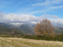 Las primeras nieves de este otoño Las primeras nieves de este otoño