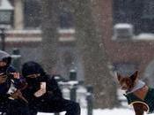 Nueva York registra mayores nevadas últimos años