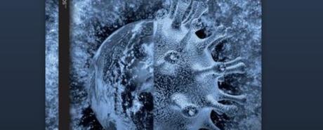 Ya se puede leer en el blog “¿Qué es la nueva normalidad?”, mi último artículo publicado en la revista mexicana Palabrería (Junio 2020). ¡Gracias a Carlos Tonatiuh Tenopala por contar conmigo una vez más!  Por Nicola Mariani, junio de 2020. ¿Qué pasará con nosotros cuando habrá acabado la pandemia, si […]