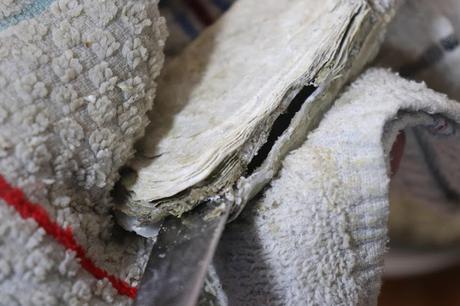 Cómo abrir ostras de manera sencilla Cómo abrir ostras de manera sencilla