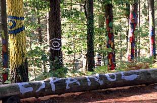 Agustín Ibarrola Goicoechea Agustín Ibarrola Goicoechea