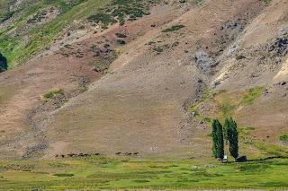 Laguna Navarrete en el norte neuquino, donde los pescadores no necesitan exagerar