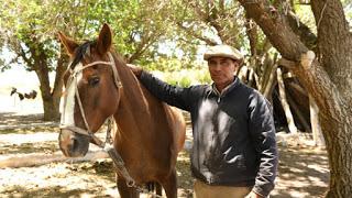 El gaucho que amansa caballos con la caricia y la palabra en la Línea Sur