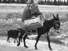 Medios de transporte en de Sierra Norte de Guadalajara