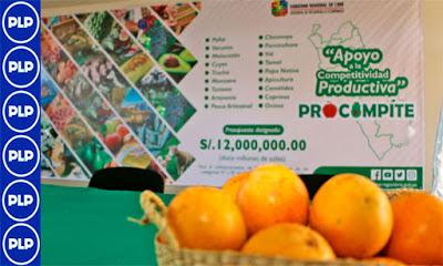 Importante: TODAVIA HAY PLAZO PARA AL PROCOMPITE REGIONAL…