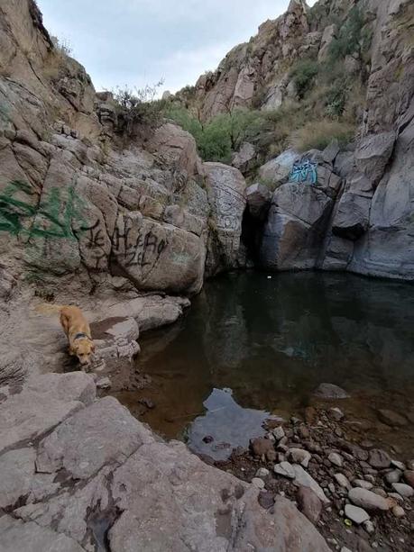 Nava busca entregar la Cañada del Lobo a cambio de apoyo electoral: activistas