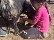 arriera cinco años conmueve norte neuquino