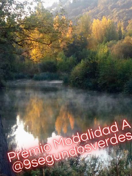 El Río de la Vida, Otoño en Corullón y Sempiterno, ganadores del XXVI Concurso fotográfico del IEB convocado en este 2020 en Instagram 3 El Río de la Vida, Otoño en Corullón y Sempiterno, ganadores del XXVI Concurso fotográfico del IEB convocado en este 2020 en Instagram 3