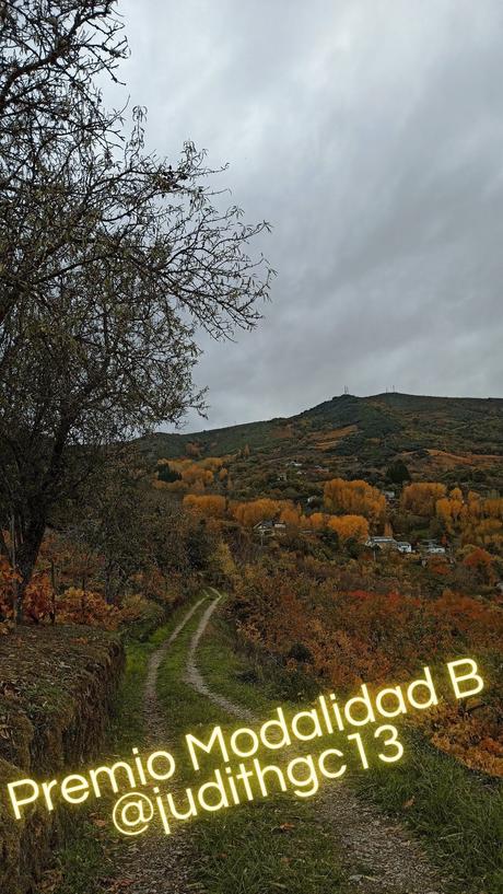 El Río de la Vida, Otoño en Corullón y Sempiterno, ganadores del XXVI Concurso fotográfico del IEB convocado en este 2020 en Instagram 4 El Río de la Vida, Otoño en Corullón y Sempiterno, ganadores del XXVI Concurso fotográfico del IEB convocado en este 2020 en Instagram 4
