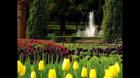 JARDÍN BOTÁNICO DE VILLA TARANTO