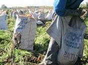 Cañete apoyara paro agrario…