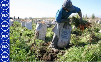 CAÑETE APOYARA PARO AGRARIO…