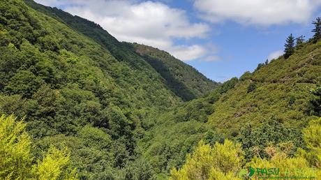Valle del Turía hacia Taramundi