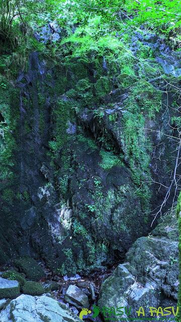 Cascada seca de la Salgueira