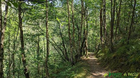 Bajando a Os Teixóis