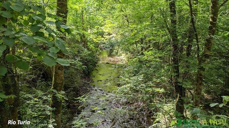 Río Turía, Taramundi