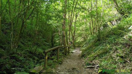 Subiendo a la cascada de la Salgueira