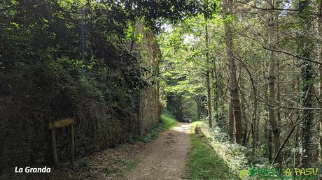 La Granda, Taramundi