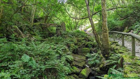 Restos de molino junto al río Salgueira