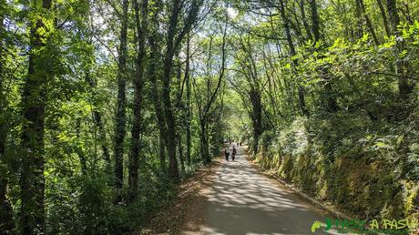 Carretera a Esquíos