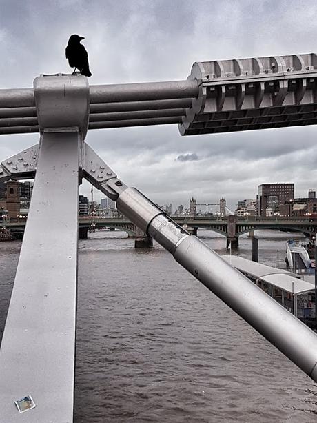 London (Millenium Bridge): The Raven