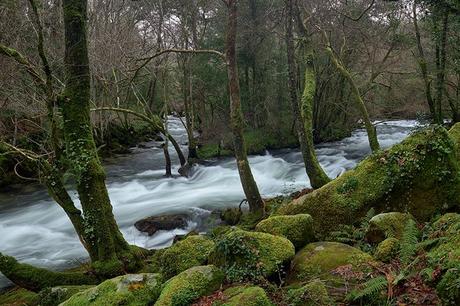 Fundación COPADE ofrece asesoramiento gratuito a las administraciones públicas para cumplir con los ODS