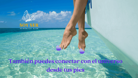 Chakra Corona el Universo en Tus Pies ¿Qué rige?