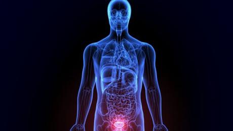 Pantas medicinales para la próstata