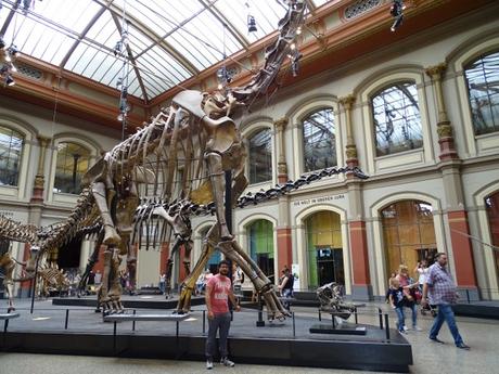 Jurassic Park y el Museo de Historia Natural de Berlín, un viaje al pasado.