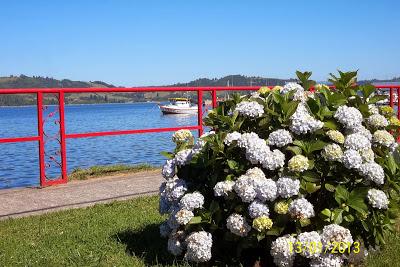 Recorriendo el Sur de Chile XI