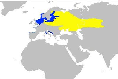 Un somormujo cuellirrojo en Luanco Un somormujo cuellirrojo en Luanco