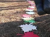 Andy Goldsworthy