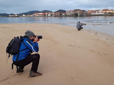 LA MARISMA VA ALCANZANDO SU PUNTO CULMINANTE