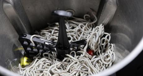 Gulas al Ajillo con Mambo Ponemos la mariposa y ponemos las gulas