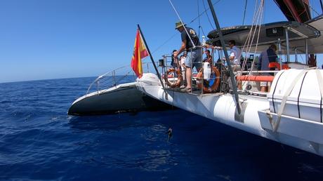 Loro Parque Fundación dedicará casi 1,3 millones a la conservación en 2021