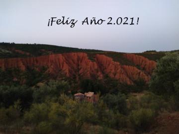 Un año para olvidar … o para recordar