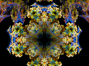 700.000 visitas Camino luciérnagas. Muchas gracias.