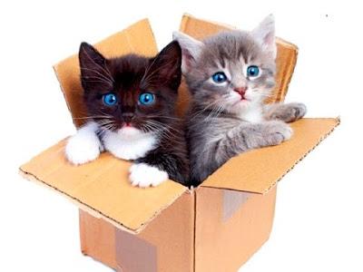 (Relatos) Navidad Books FD 2020 by Eelynn Cuellar