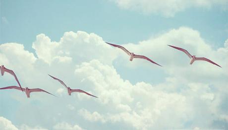 Mi deseo para tu 2021 Mi deseo para tu 2021